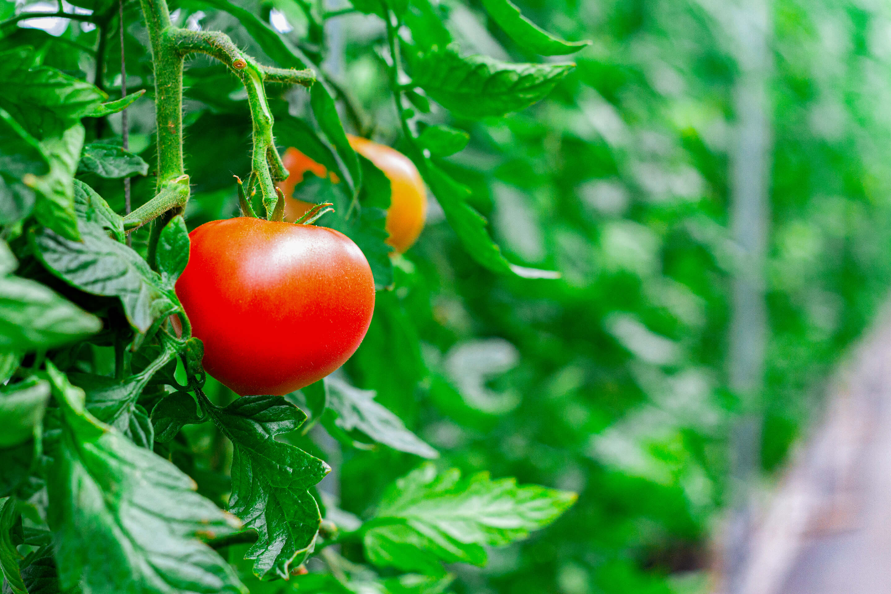 メインビジュアル01