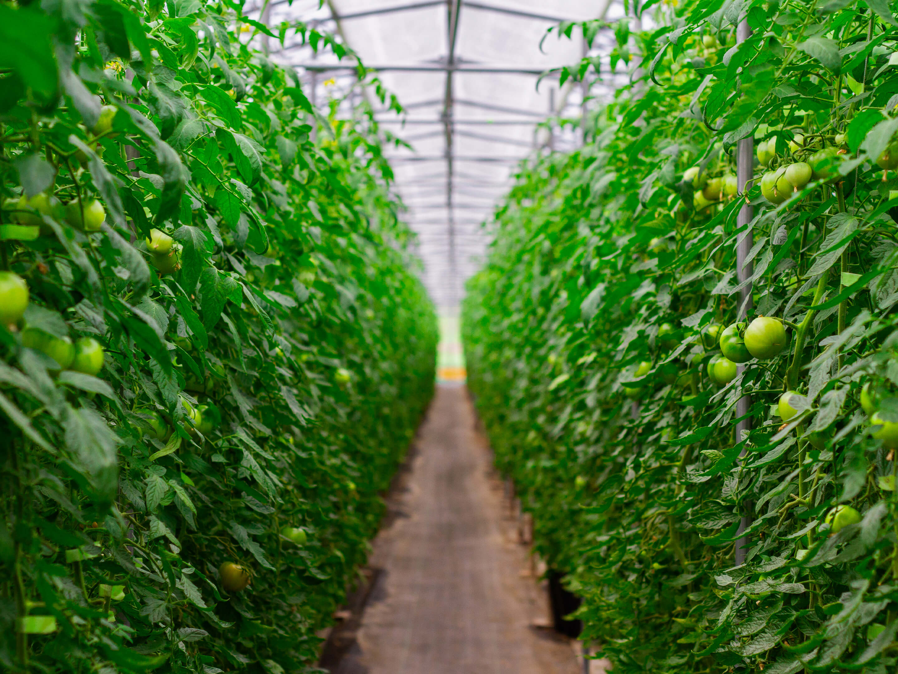 メインビジュアル03