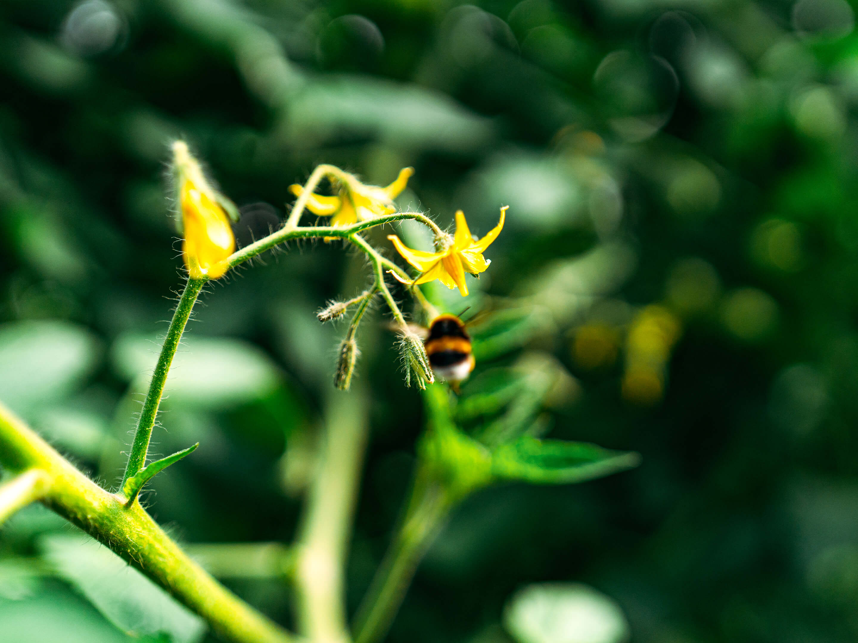 メインビジュアル04