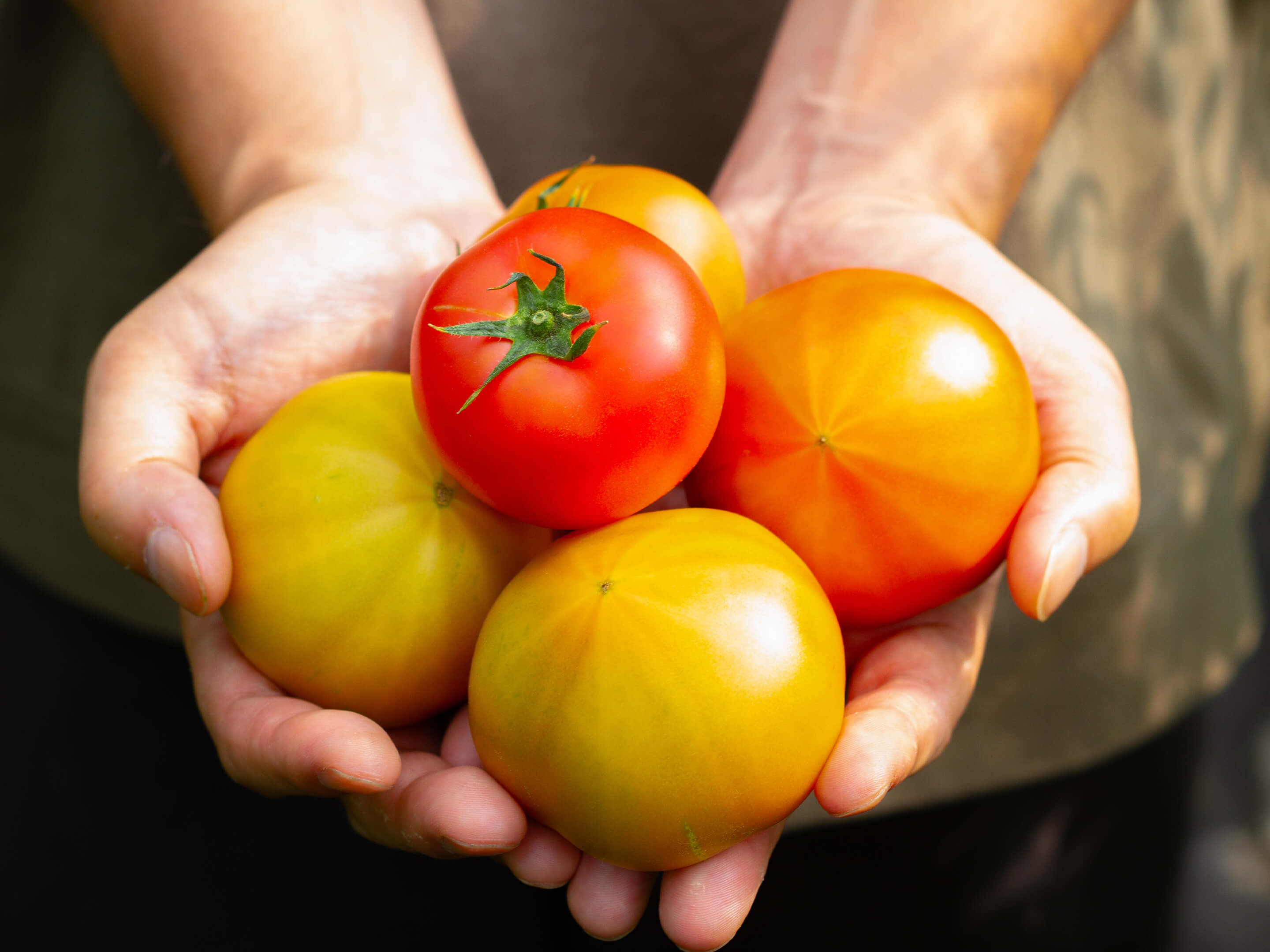 メインビジュアル05