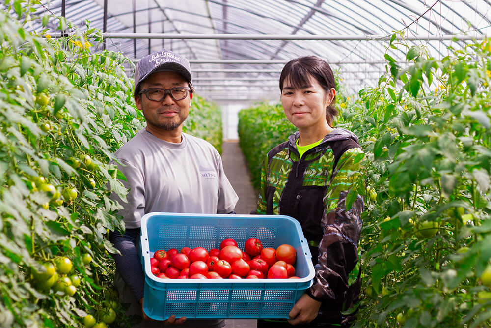 高糖度フルーツトマト「プレシャス」のイメージ05